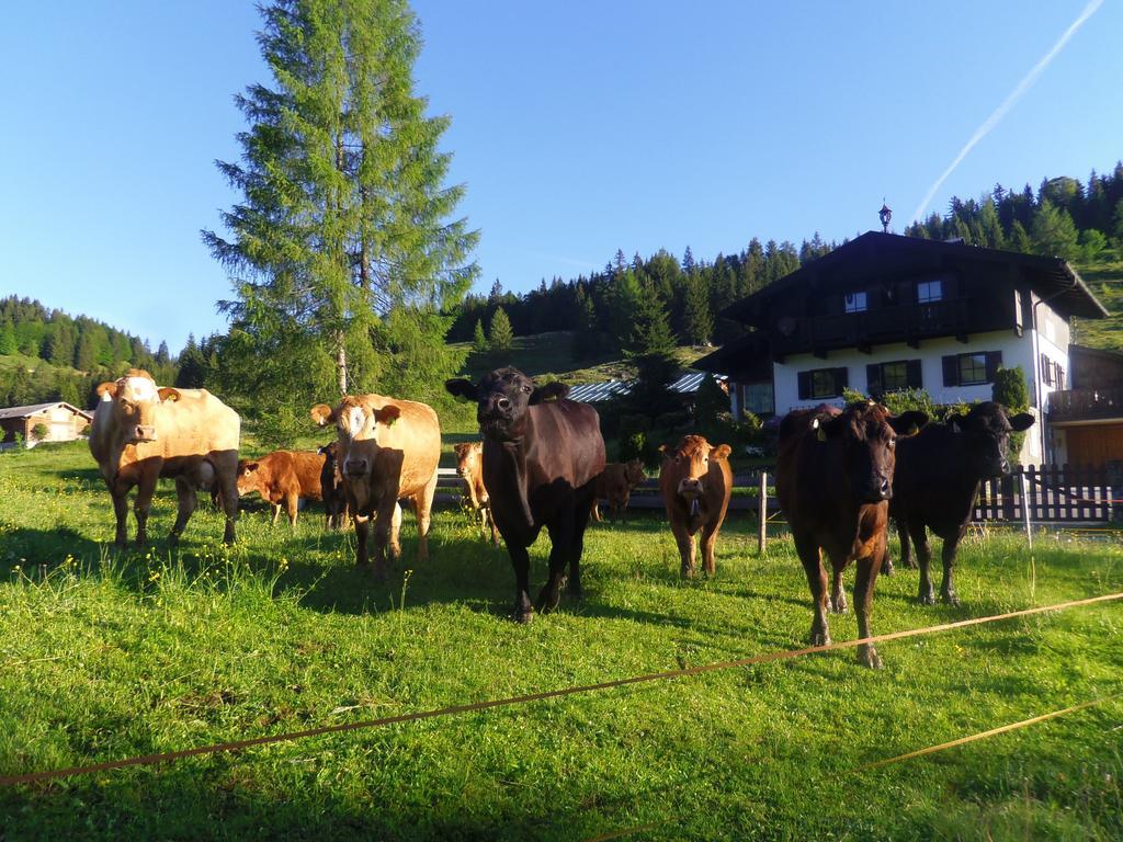 Almidylle Kathrin Strobl Exterior foto